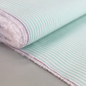 Chambray Cotton - Mint - Stripe