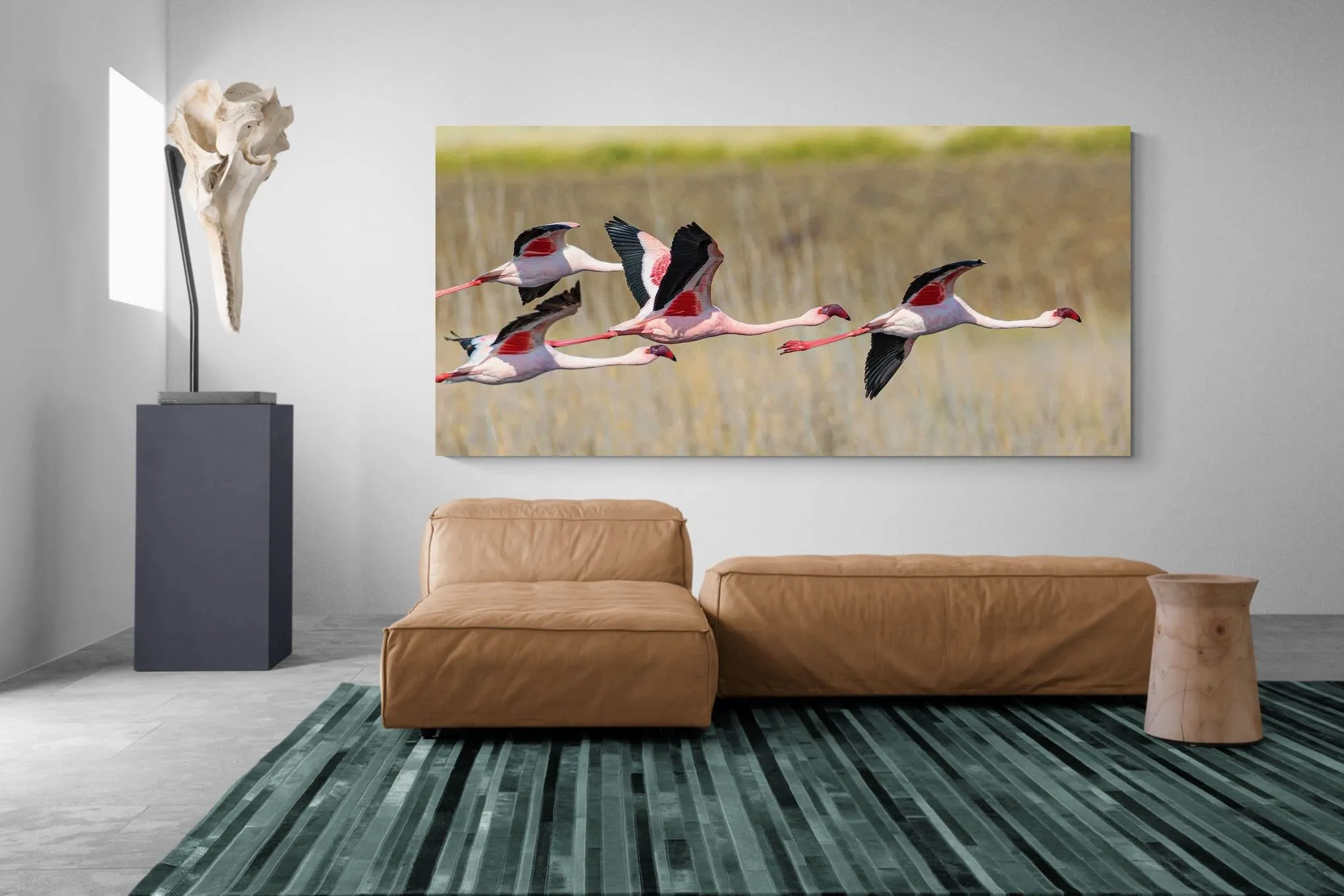 Flying Flamingos